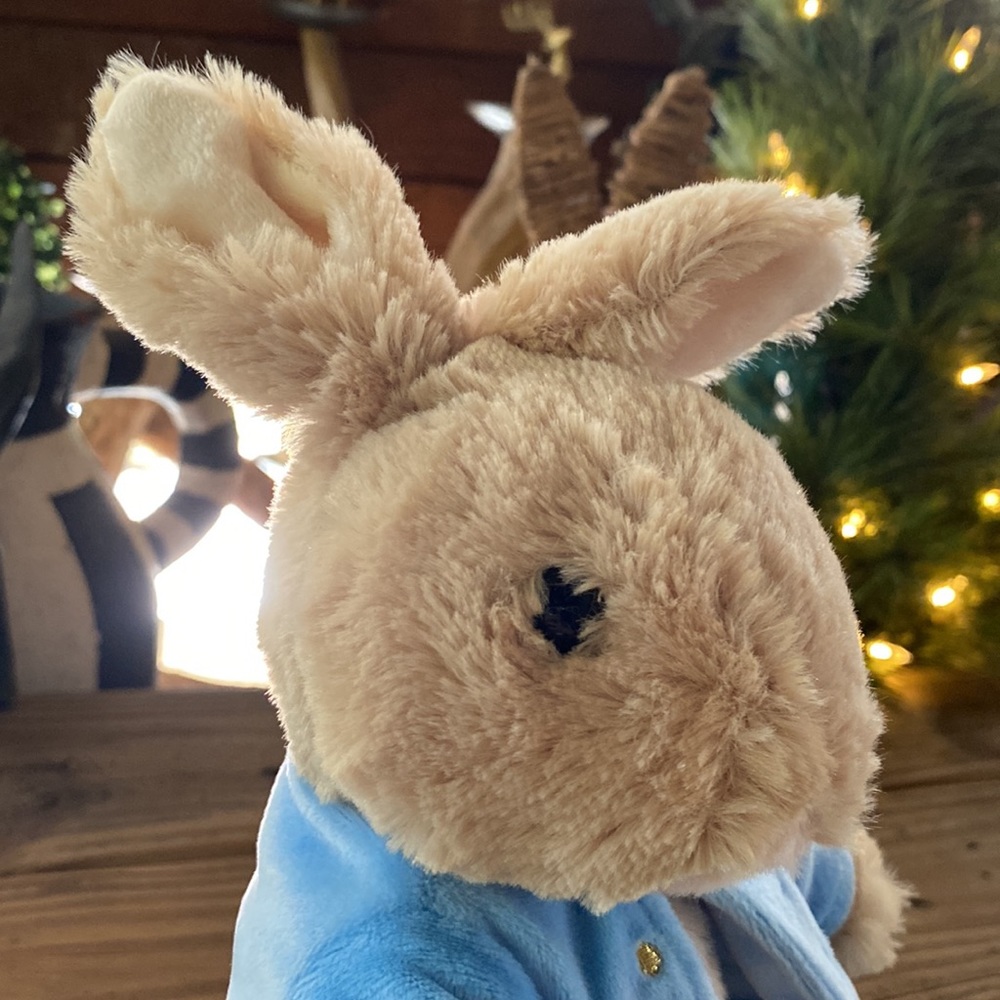 Pottery Barn Kids The World of Beatrix Potter Peter Rabbit Super Soft Plushie 🐰 - Picture 12 of 16